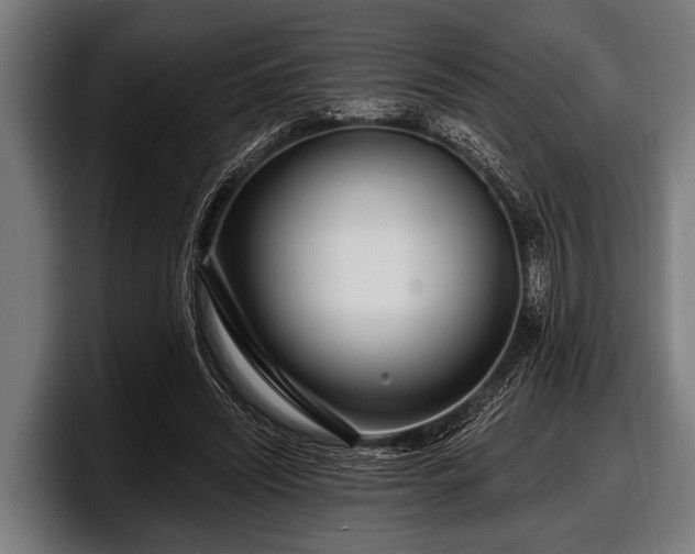 X0000097810444200803201421