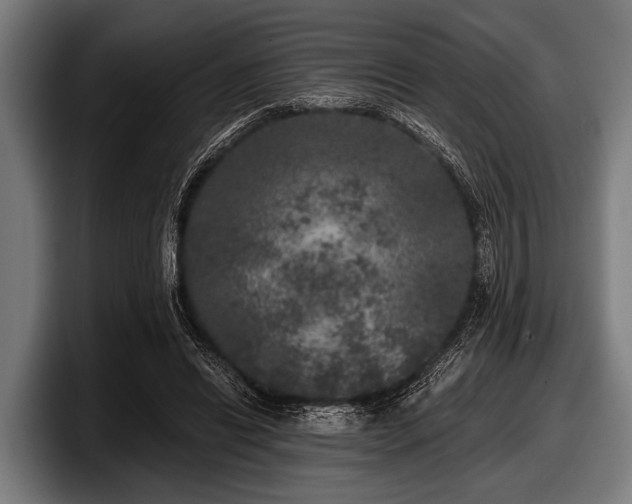 X0000097810446200803201421