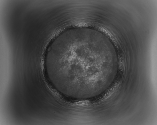 X0000097810447200803201421