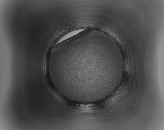 X0000097810450200803201421