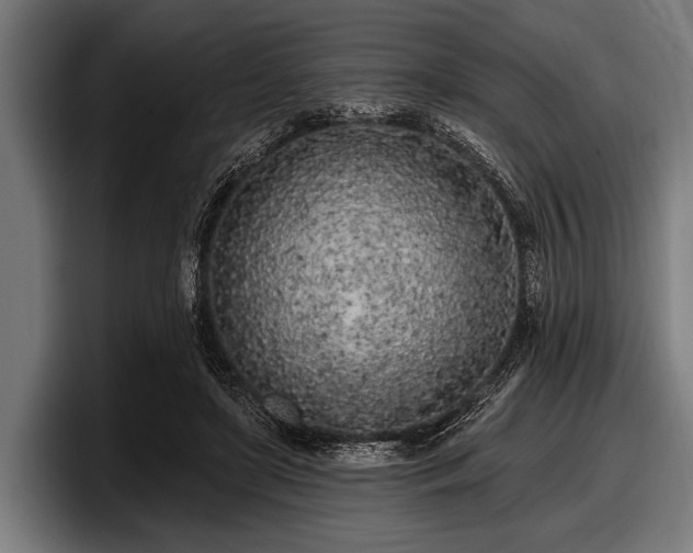 X0000097810451200803201421