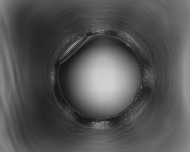 X0000097810452200803201421