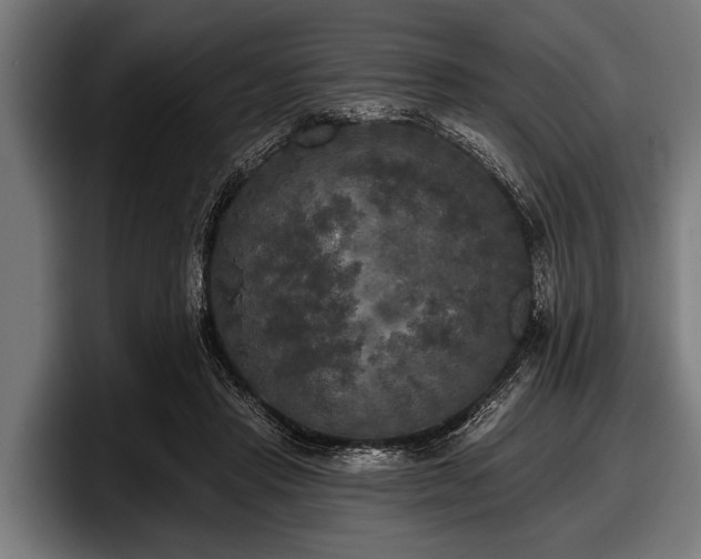 X0000097810453200803201421