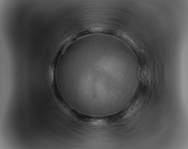 X0000097810454200803201421