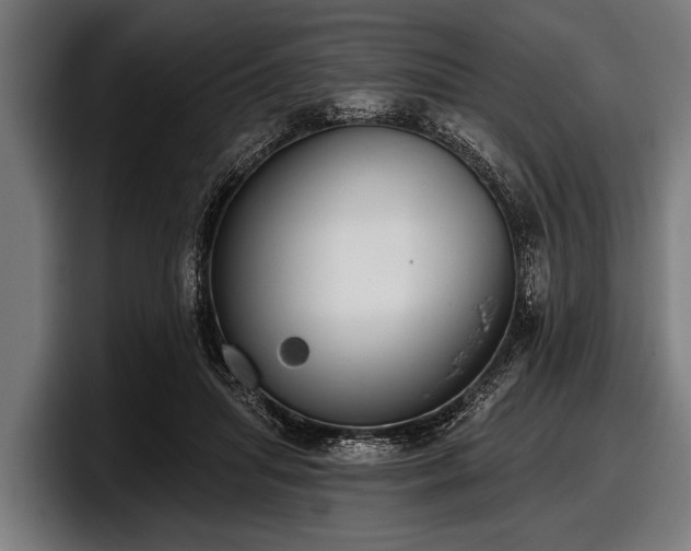 X0000097810455200803201421