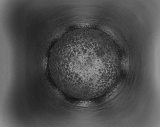 X0000097810458200803201421