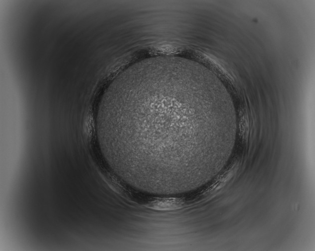 X0000097810459200803201421