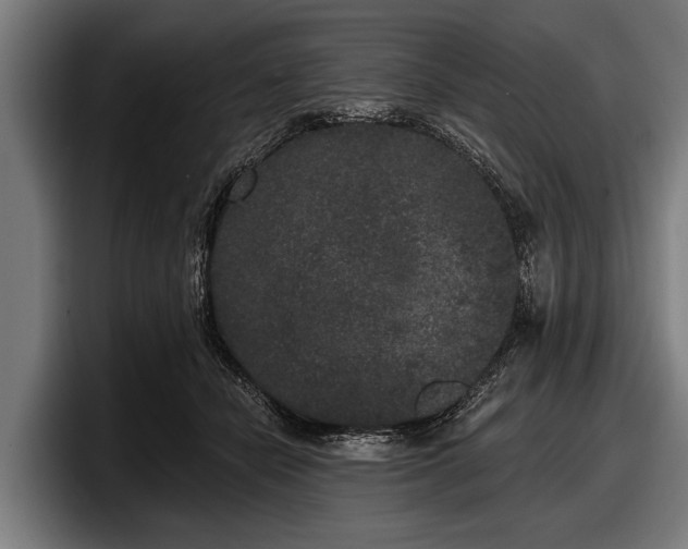 X0000097810462200803201421