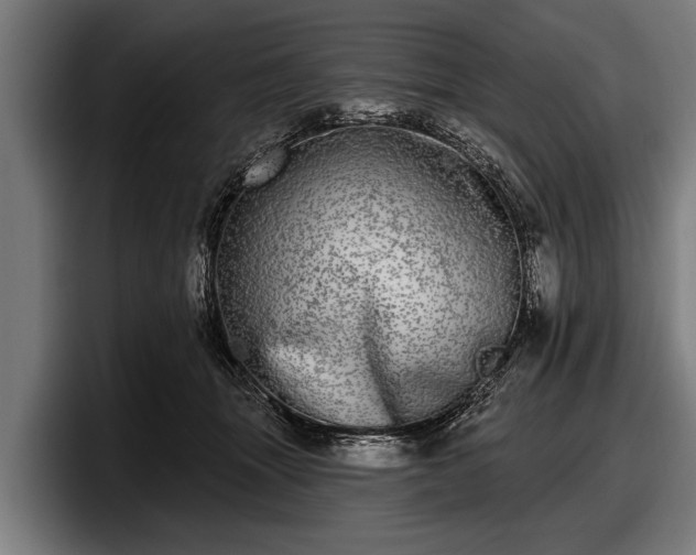 X0000097810463200803201421