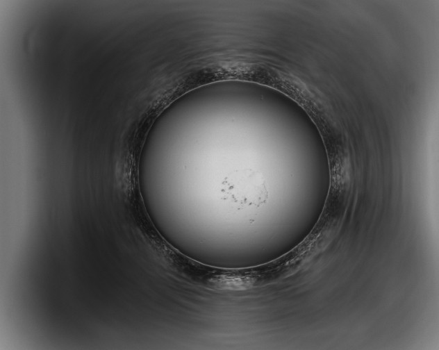 X0000097810464200803201421