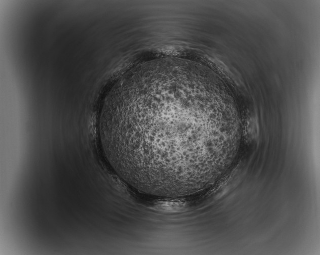 X0000097810466200803201421