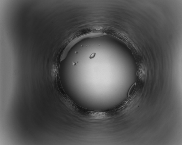 X0000097810476200803201421