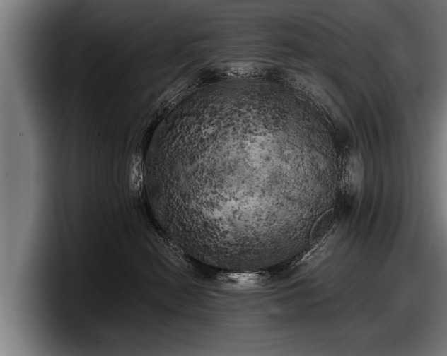 X0000097810478200803201421