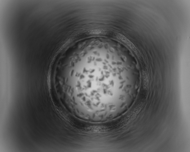 X0000097810482200803201420