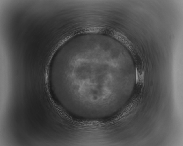 X0000097810483200803201420