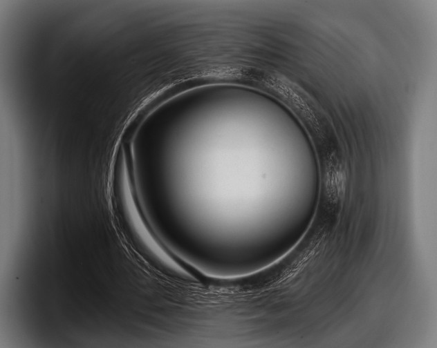 X0000097810484200803201420