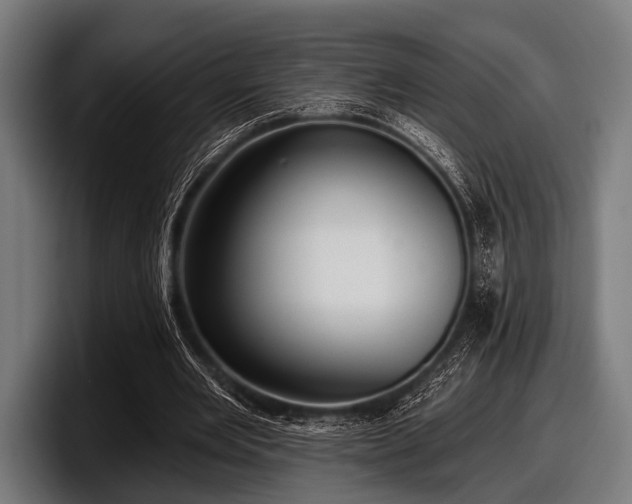 X0000097810485200803201420