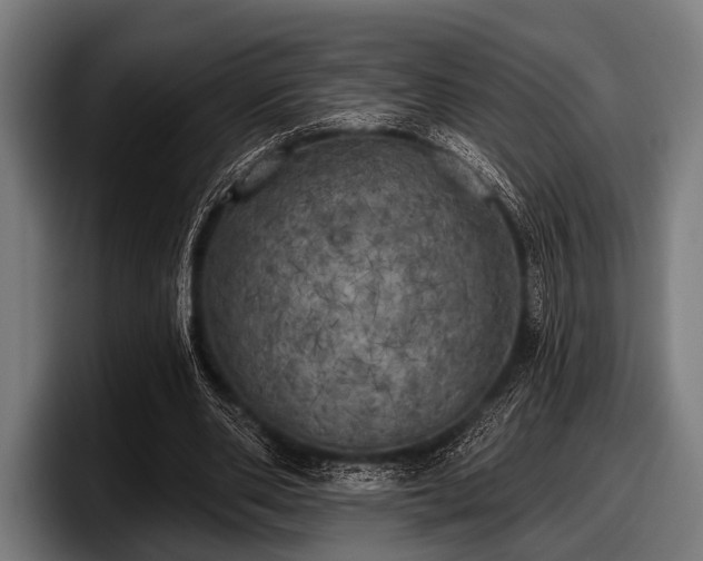 X0000097810486200803201420