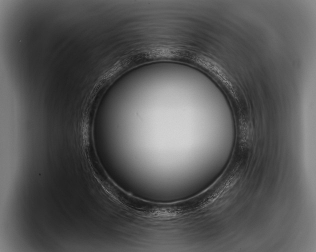 X0000097810489200803201420