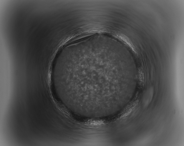 X0000097810491200803201420