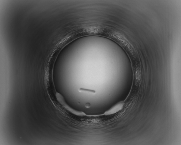 X0000097810492200803201420