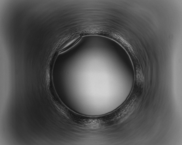 X0000097810493200803201420