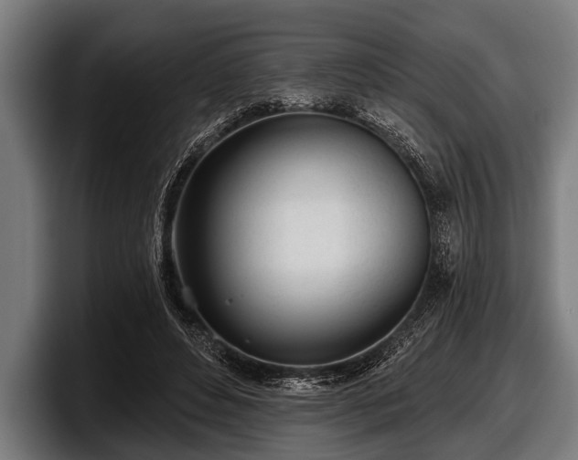 X0000097810496200803201420