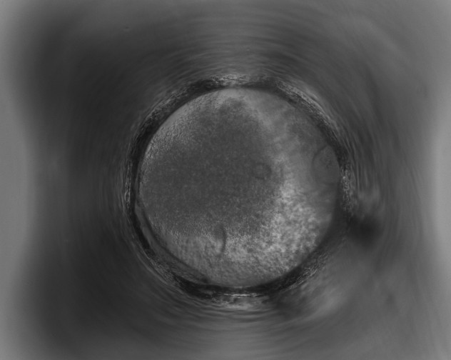 X0000097810499200803201420