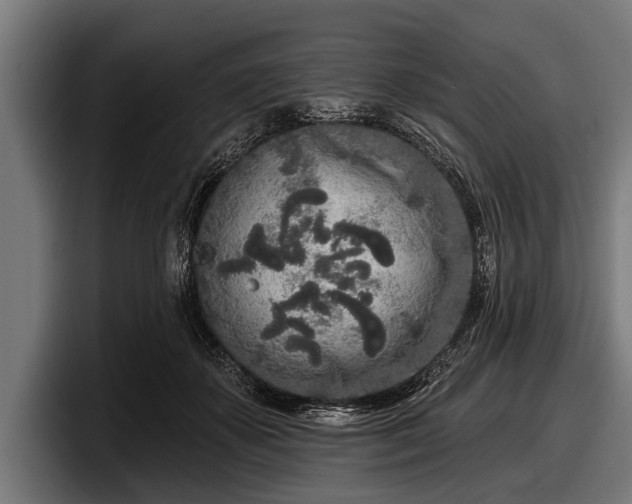 X0000097810507200803201420