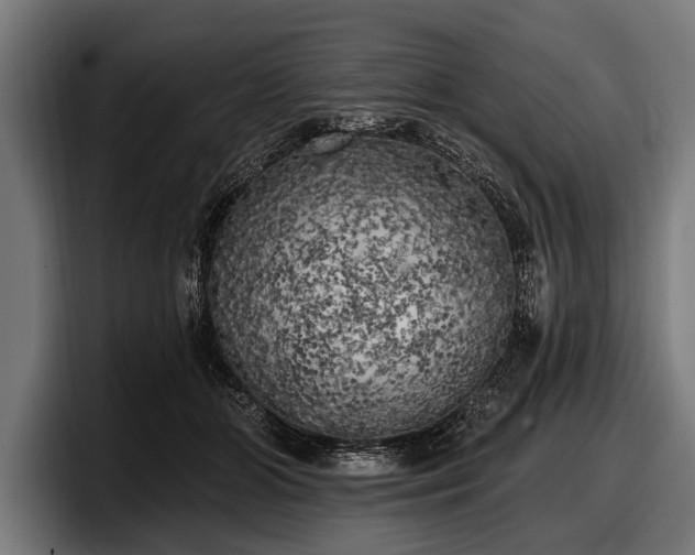 X0000097810510200803201420