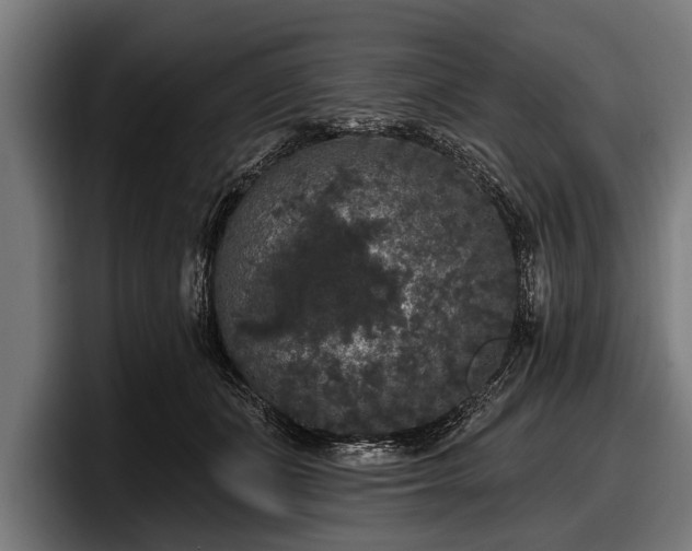 X0000097810511200803201420