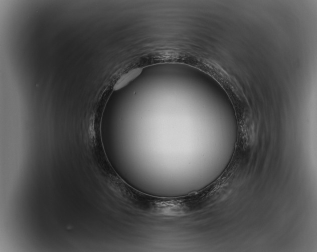 X0000097810516200803201420