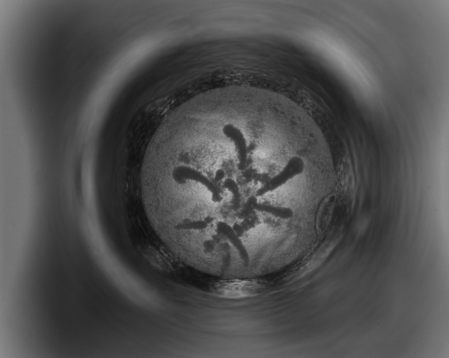 X0000097810527200803201420