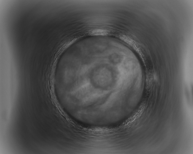 X0000097810529200803201419