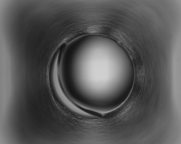 X0000097810530200803201419