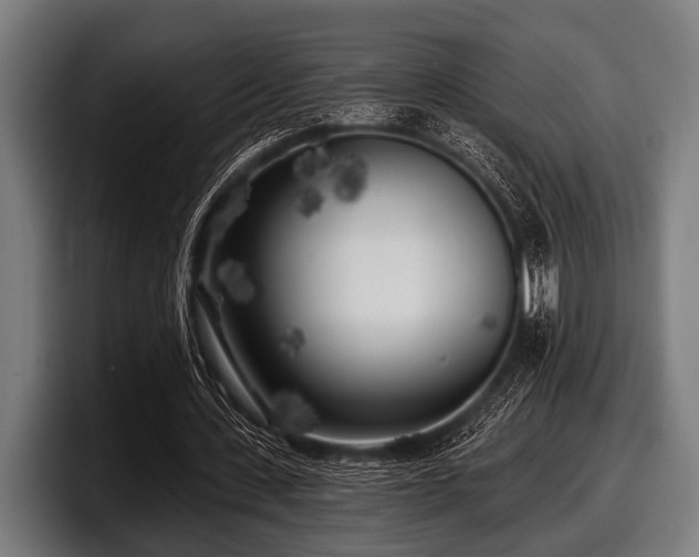 X0000097810531200803201419