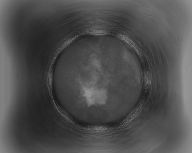 X0000097810533200803201419