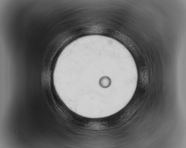 X0000097810534200803201419