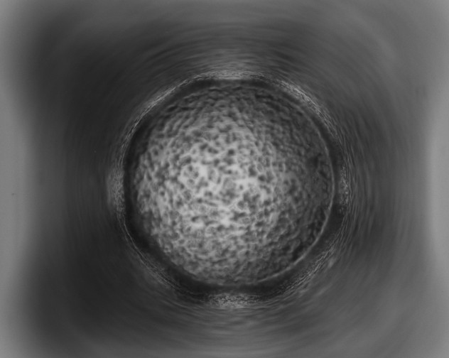 X0000097810535200803201419