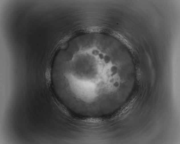 X0000097810537200803201419