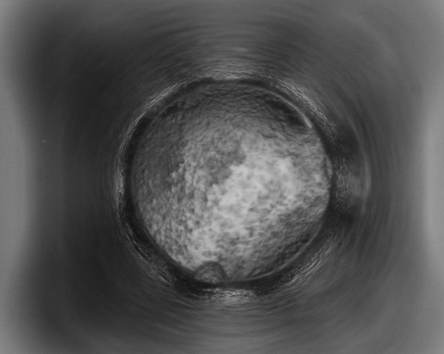 X0000097810539200803201419