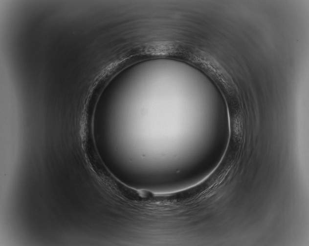 X0000097810540200803201419