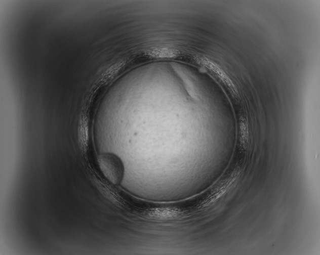 X0000097810541200803201419