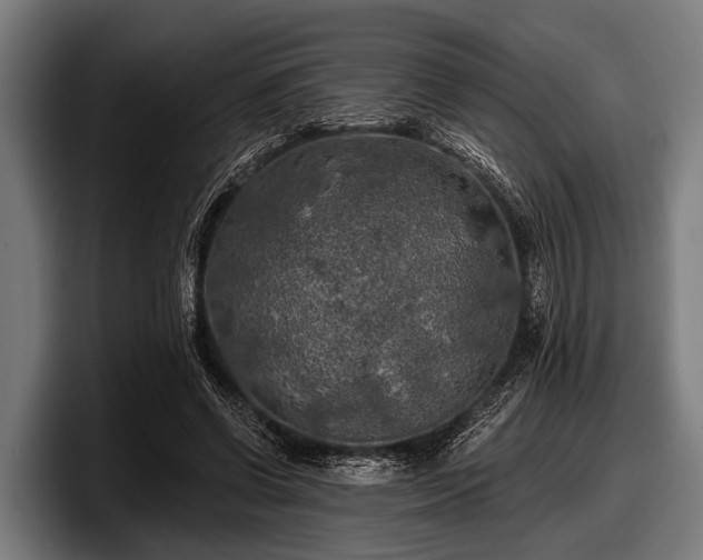 X0000097810542200803201419