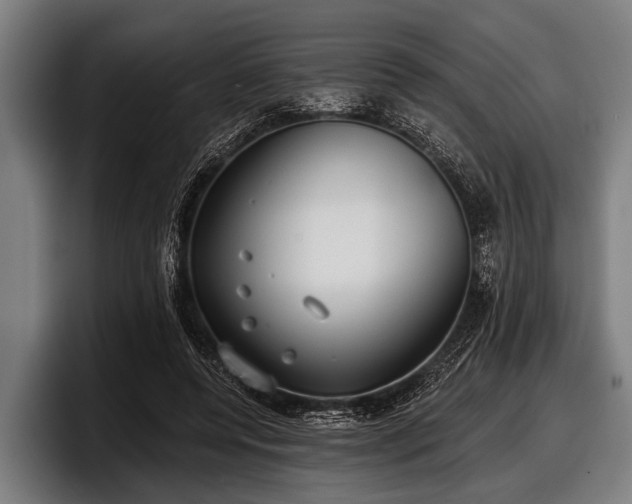 X0000097810544200803201419