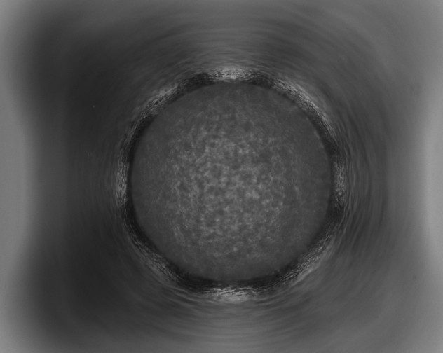 X0000097810545200803201419