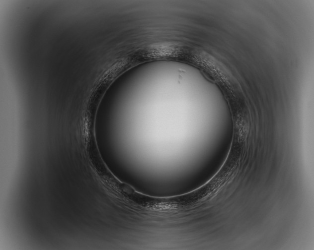 X0000097810546200803201419