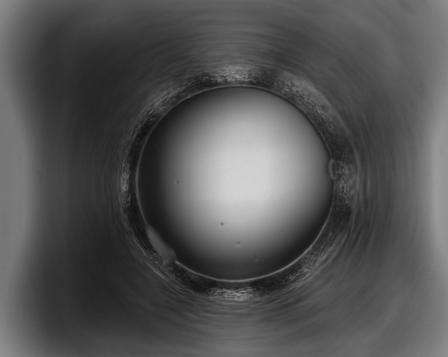 X0000097810548200803201419