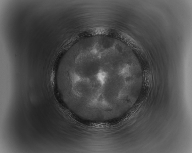 X0000097810550200803201419