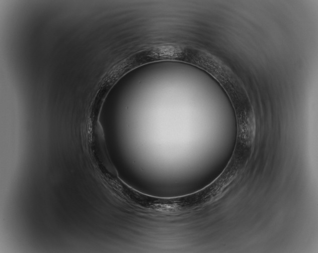 X0000097810552200803201419